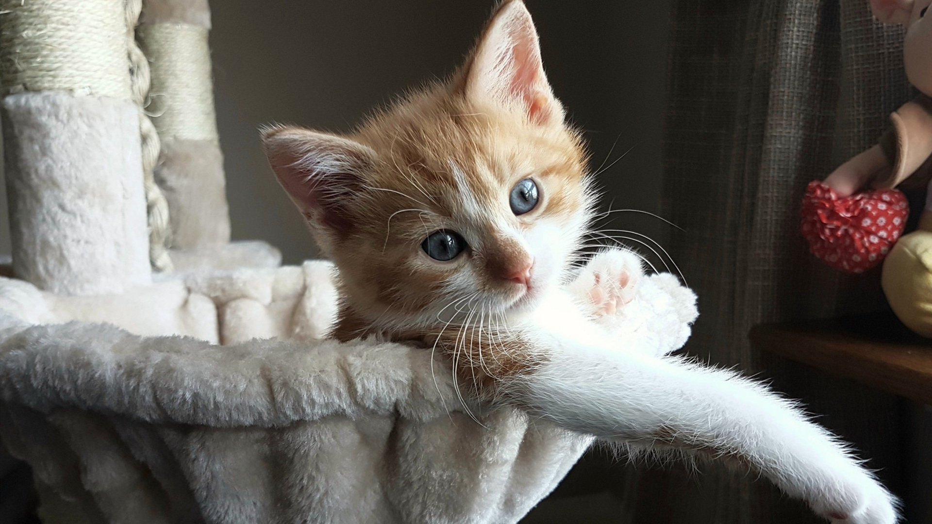 九游-哥斯达黎加斩获大捷 科特迪瓦尴尬失分,哥斯达黎加ds