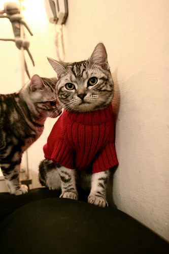 9体育-弗拉门戈连续多场比赛取胜，弗拉门戈vs累体育预测