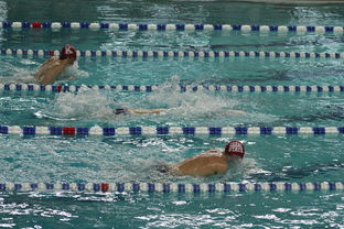 九游体育-全国青少年游泳锦标赛涌现多位新星,2021年青少年游泳锦标赛