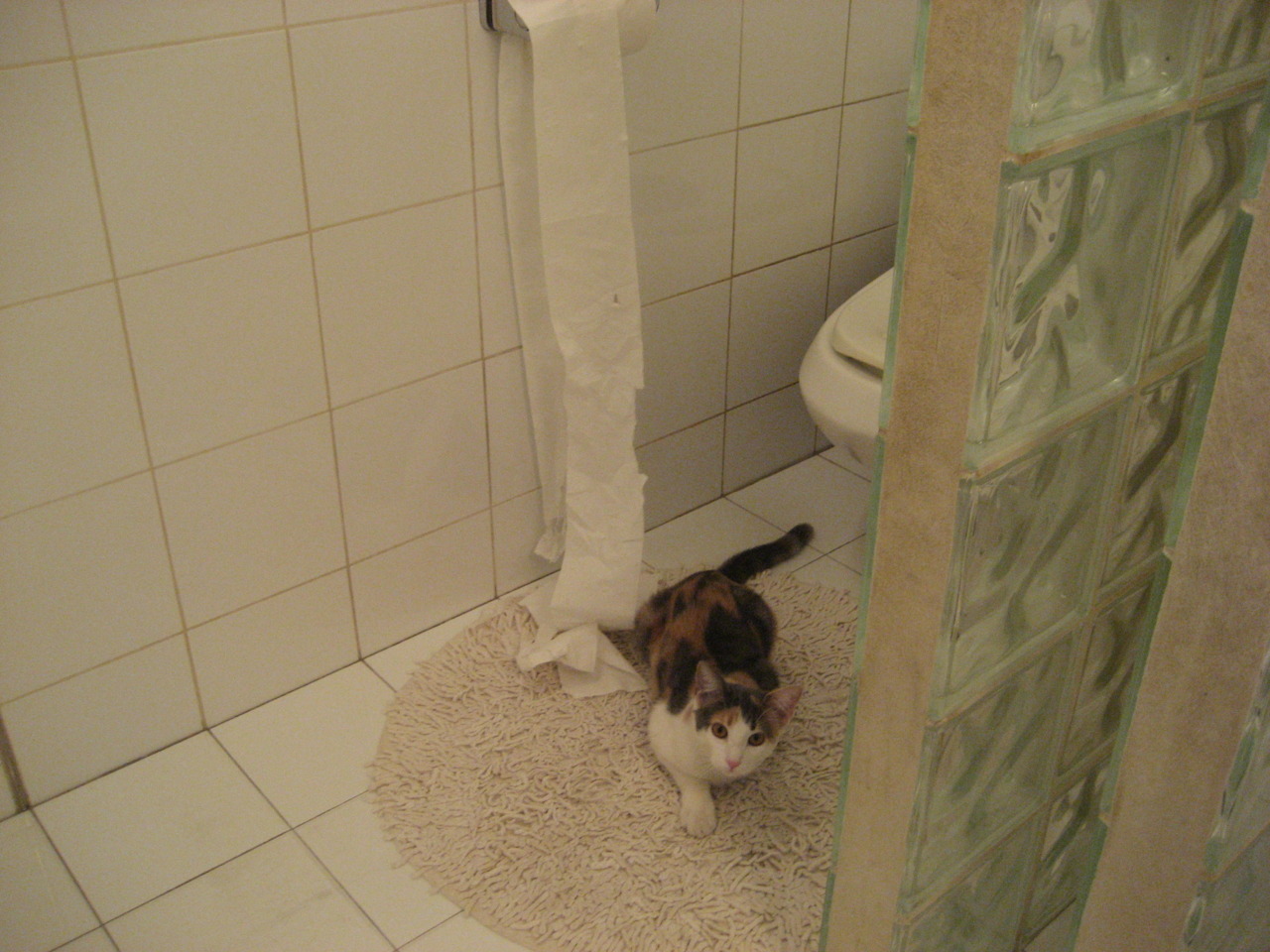 jiuyou游戏-加拿大队赛制解析：如何通过赛制安排打造灵活战术应对强队，加拿大的比赛